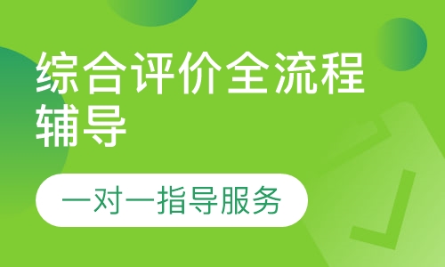 综合评价全流程辅导