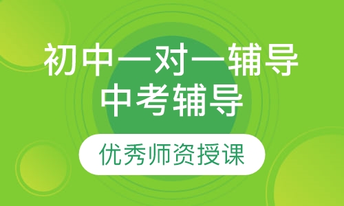 初中一对一辅导中考辅导
