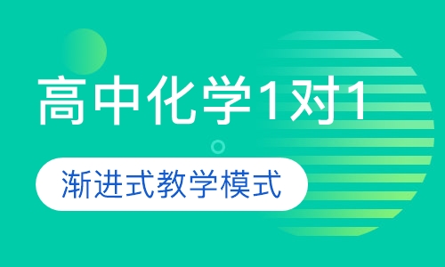 高中化学精准1对1