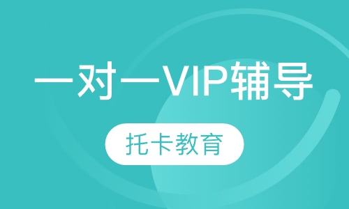 一对一VIP辅导