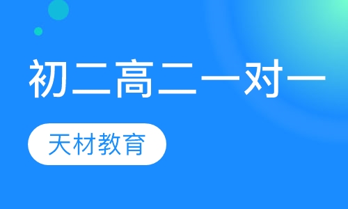初二/高二一对一辅导