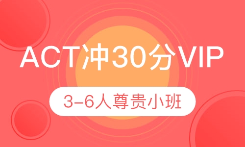 ACT冲30分VIP3-6人尊贵小班