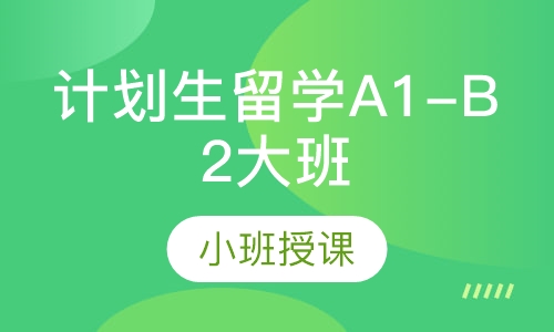 计划生留学A1-B2大班 10-12人