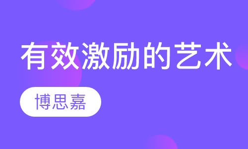 《有效激励的艺术》