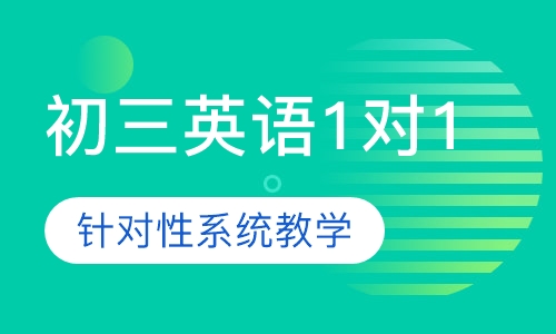 初三英语1对1辅导