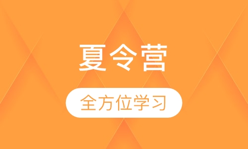 “未来领袖”STEAM夏令营