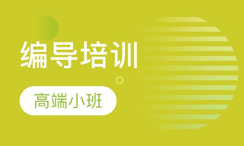 编导培训高端小班