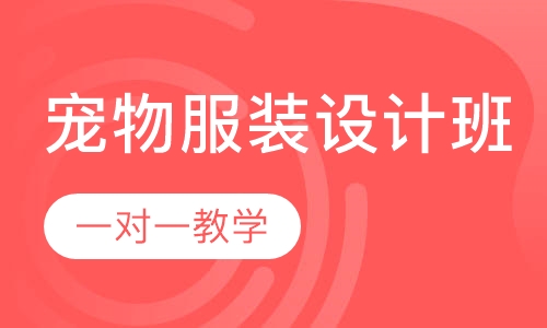 宠物服装设计班
