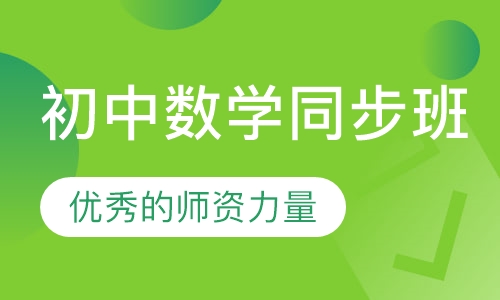 初中数学同步班