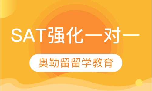 SAT强化一对一