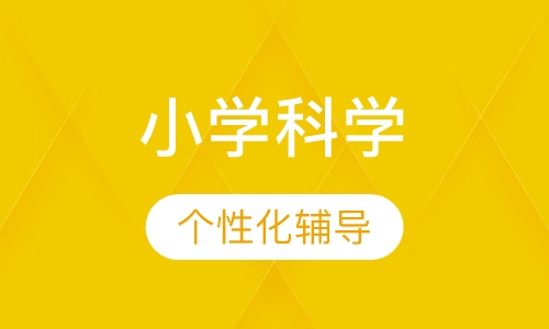 小学科学辅导一对一