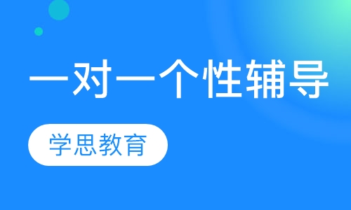 一对一个性辅导
