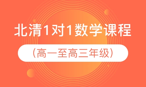 北清1对1数学课程（高一至高三年级）