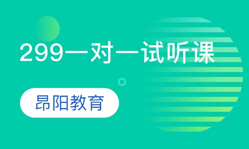 299一对一试听课