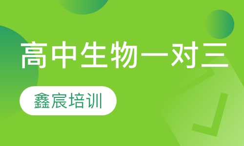 高中生物一对三