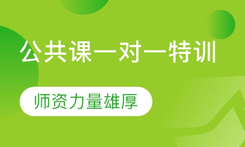 公共课一对一特训