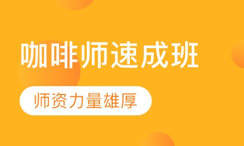 咖啡师速成班