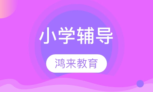 小学辅导