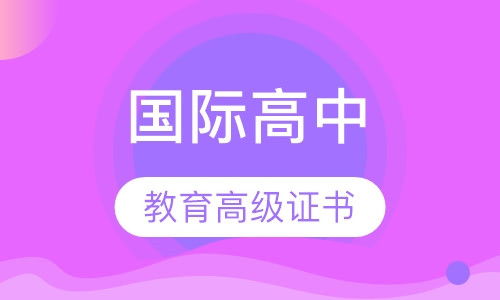 国际高中