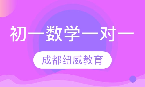 初一数学一对一