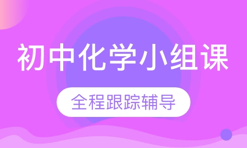 初中化学小组课