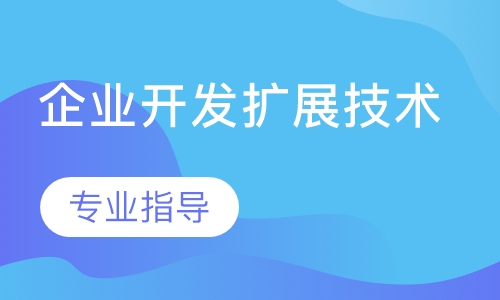 企业开发扩展技术