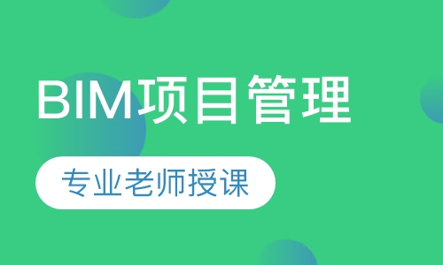 BIM项目管理 （取证+实操班）