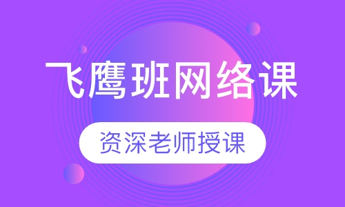 飞鹰班网络课