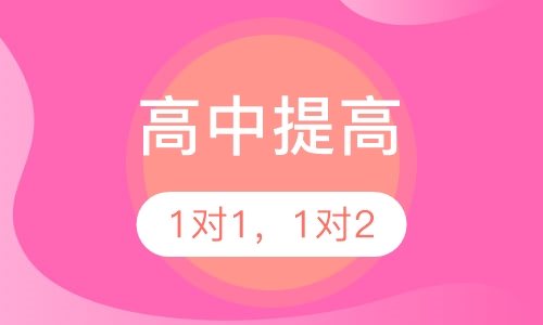 高中1对1，1对2快速提高课程
