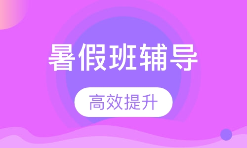 暑假班辅导