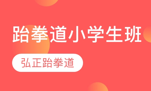跆拳道小学生班