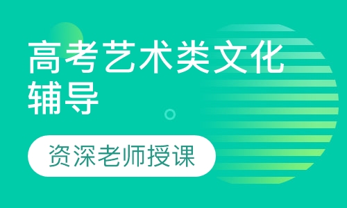 高考艺术类文化辅导
