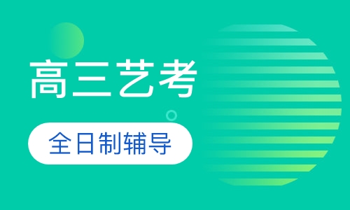 高三艺考全科辅导