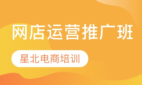 网店运营推广班