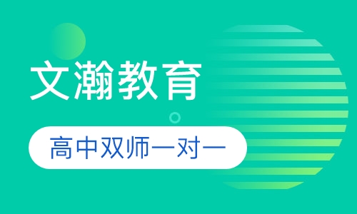 高中双师一对一