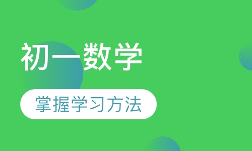 初一数学辅导