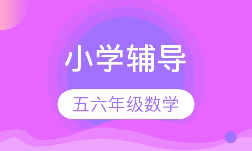 小学五六年级数学一对一辅导课程
