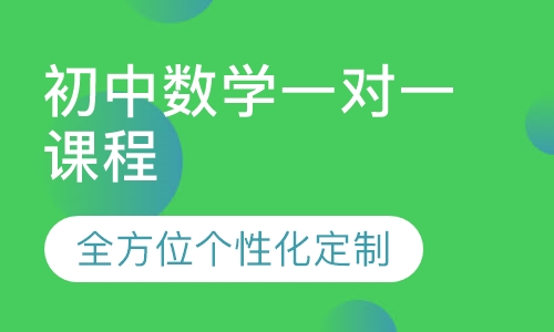 初中数学一对一课程