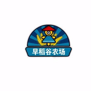 佛山早稻谷户外活动