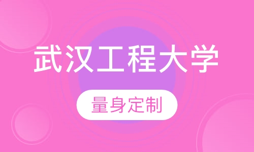 武汉工程大学(在职研究生)