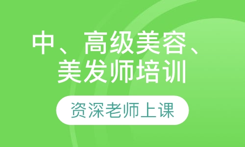 中、高级、美发师培训班