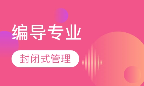 编导专业标准班