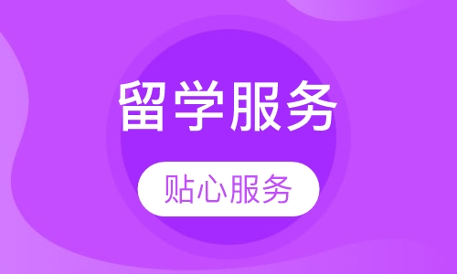 国际留学服务