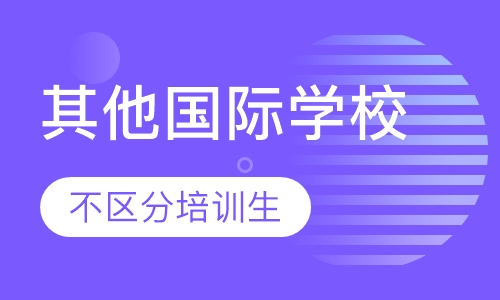 其他国际学校申请服务（不区分培训生）