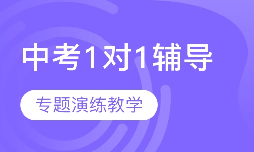 中考1对1个性化辅导