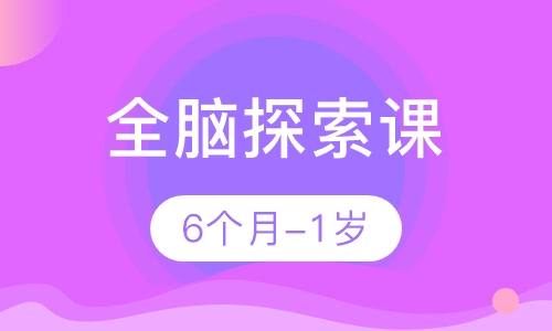 全脑探索课