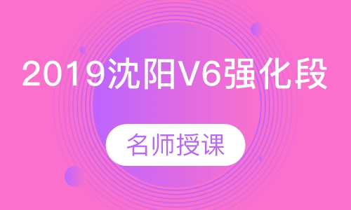 2019沈阳V6强化段