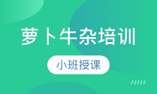 萝卜牛杂培训