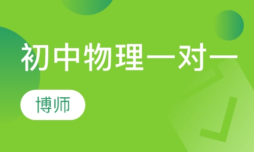 初中物理一对一