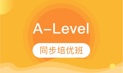 A-Level同步培优班